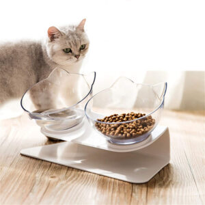 Double Cat Bowl with Raised Stand