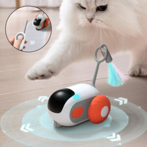 Cat Toy Car