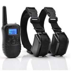 remote dog training device