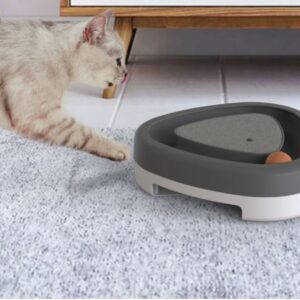 Electric cat toy