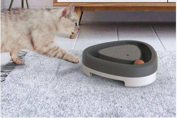 Electric cat toy