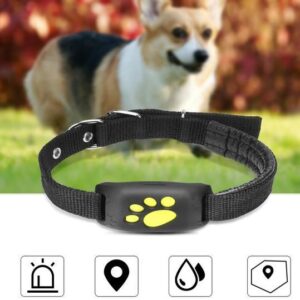 GPS pet tracker