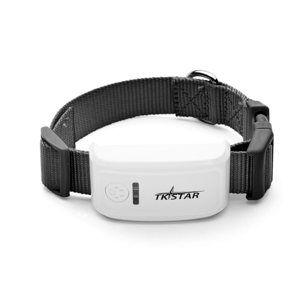 GPS pet