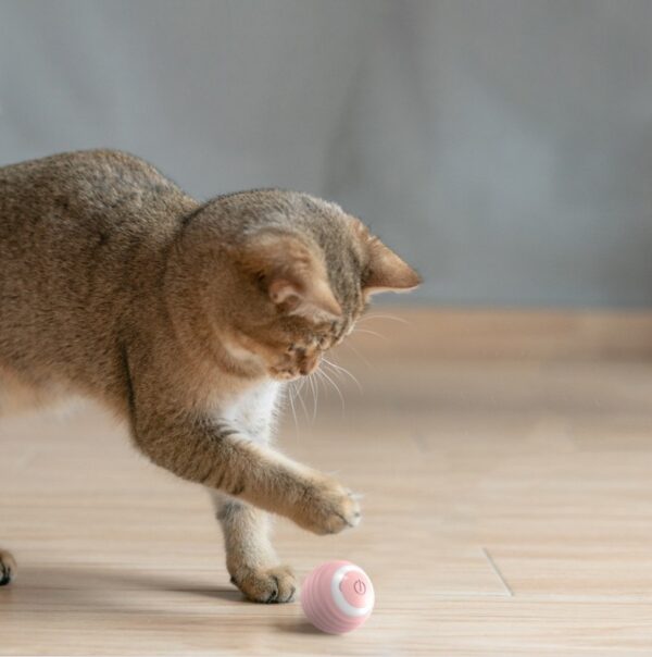 Smart Bouncing Cat Toy Ball - Image 4