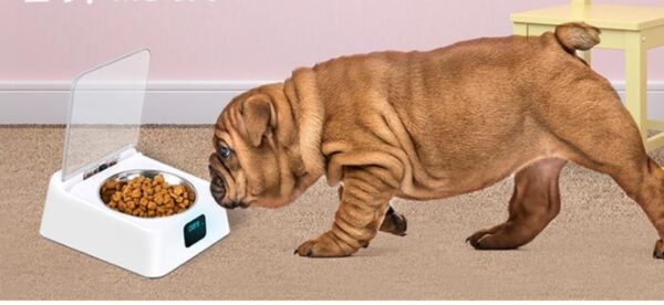 5G Automatic Pet Feeder Bowl - Image 5