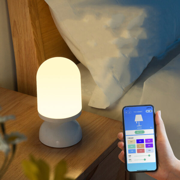 voice-controlled night light