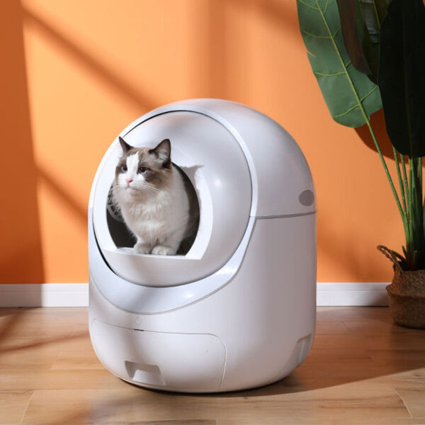 automatic cat litter box