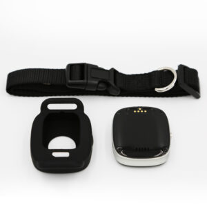 GPS Locator