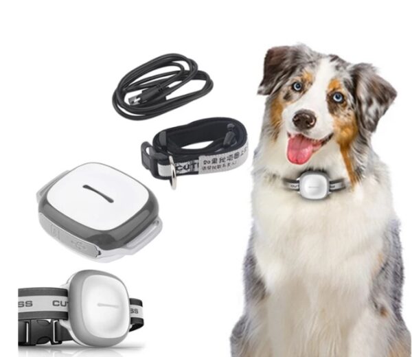 Collared Cat Dog Tracker Pet GPS Locator – Waterproof - Image 3