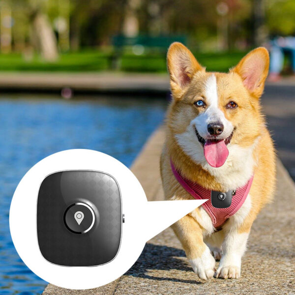 GPS Locator for Cats & Dogs – Prevent Stray Pets - Image 3