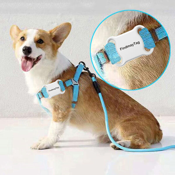 Smart Pet GPS Locator For cat and Dog – Real-Time Tracker - Image 5