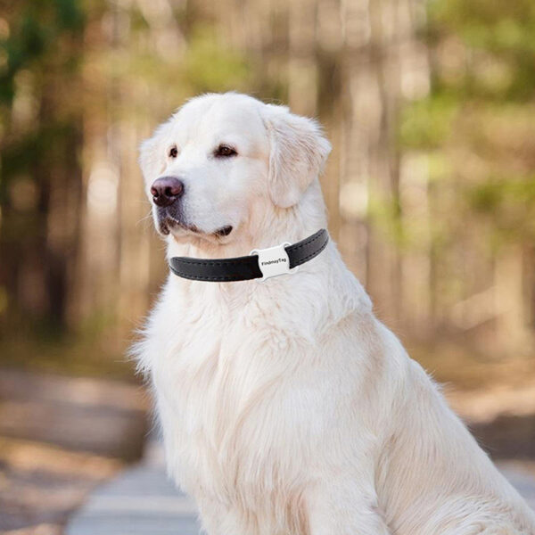 Smart Pet GPS Locator For cat and Dog – Real-Time Tracker - Image 3