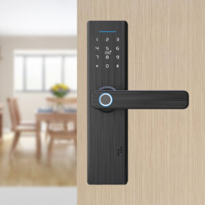 smart door lock