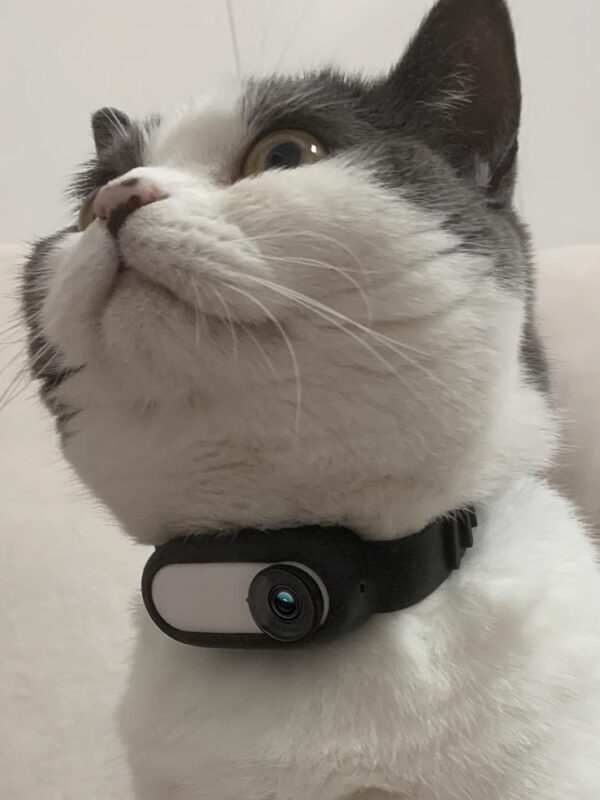 Pet Collar – Wireless Camera for Cats & Dogs - Image 9