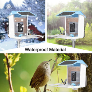 AI bird feeder
