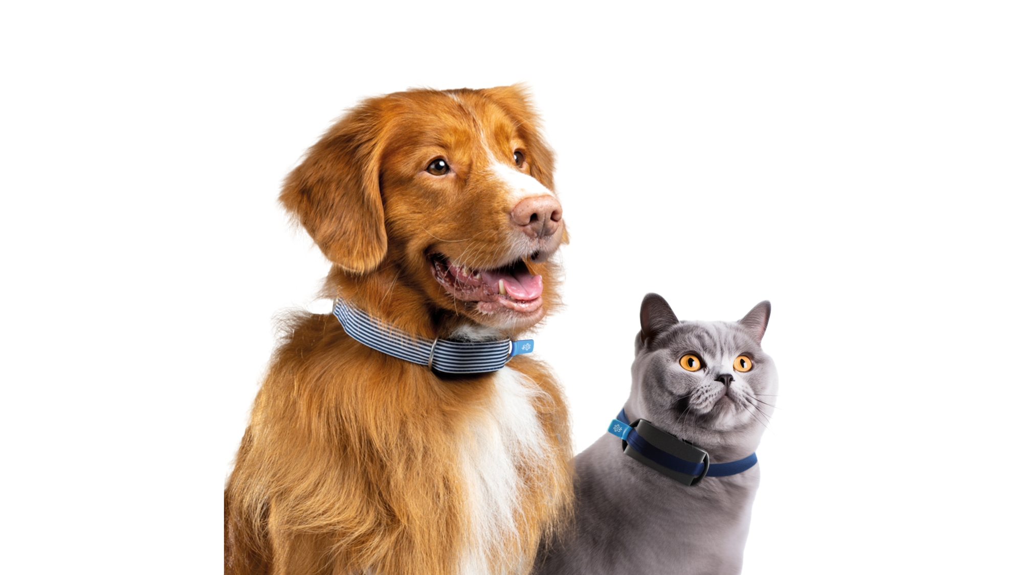 pets fitness trackers