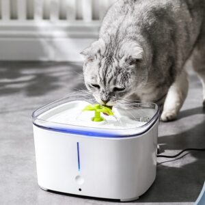 Cat Drinking Fountain